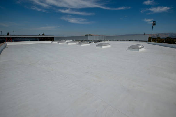 Best Steel Roofing  in Genoa, OH