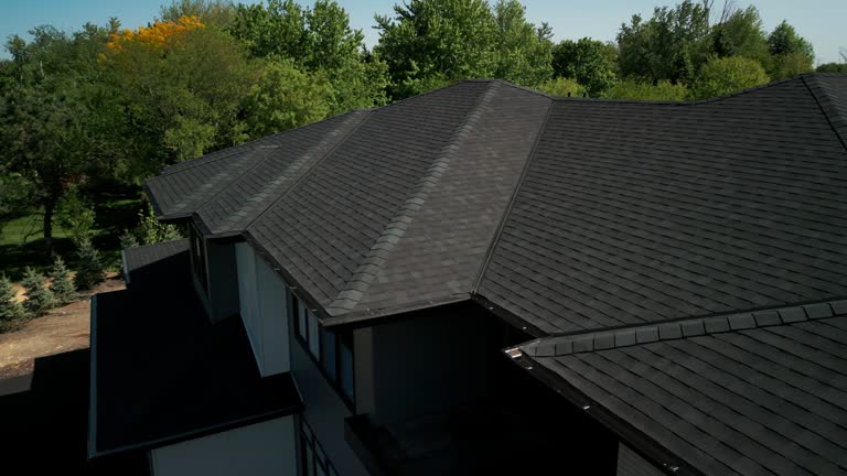 Best Sheet Metal Roofing  in Genoa, OH