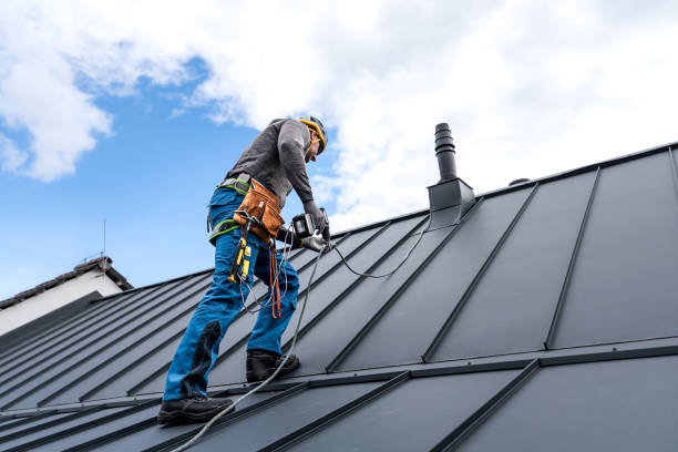 Best Roof Ventilation Installation  in Genoa, OH